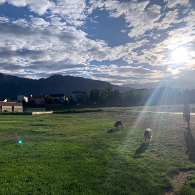 Cheyenne Meadows Dog Park